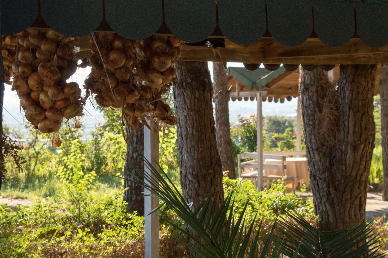 Hotel Nature Kolonje المظهر الخارجي الصورة